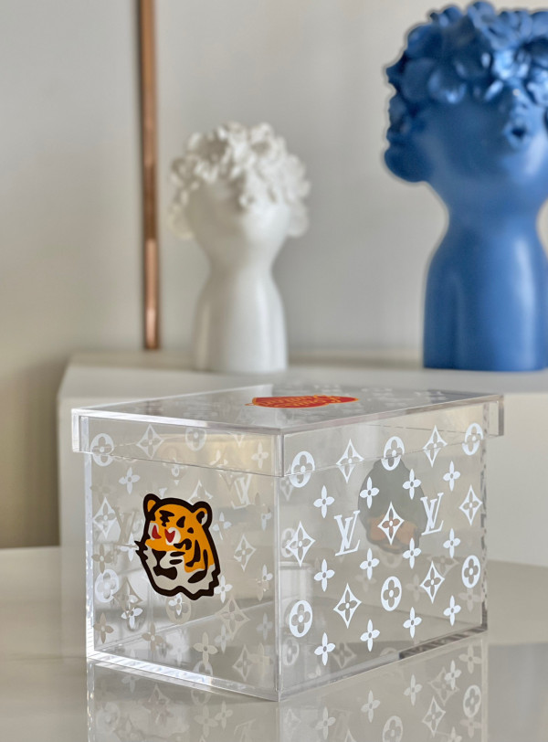 l0*is V*t0n transparent box